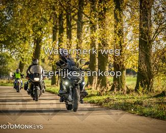 Herfstrit Moerzeke photo