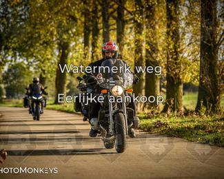 Herfstrit Moerzeke photo