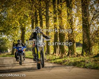 Herfstrit Moerzeke photo