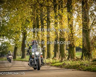 Herfstrit Moerzeke photo