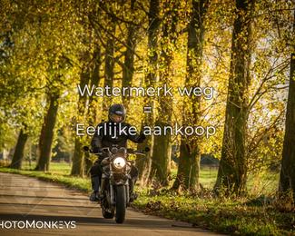 Herfstrit Moerzeke photo