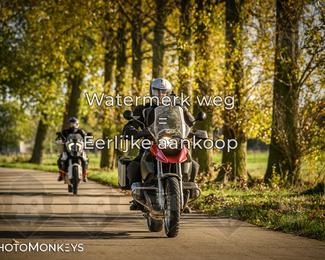 Herfstrit Moerzeke photo