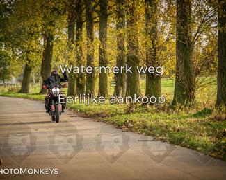 Herfstrit Moerzeke photo