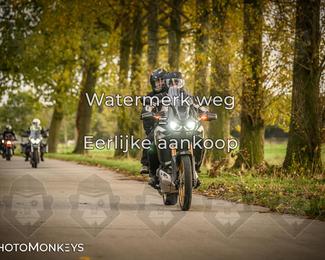 Herfstrit Moerzeke photo