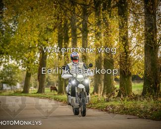 Herfstrit Moerzeke photo