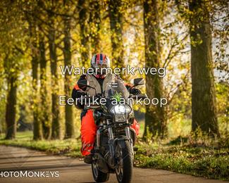 Herfstrit Moerzeke photo