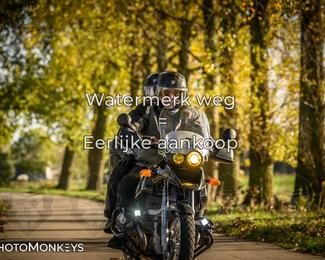 Balade d’automne Moerzeke photo