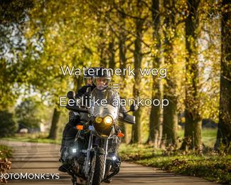 Balade d’automne Moerzeke photo