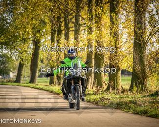 Herfstrit Moerzeke photo