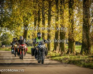 Herfstrit Moerzeke photo