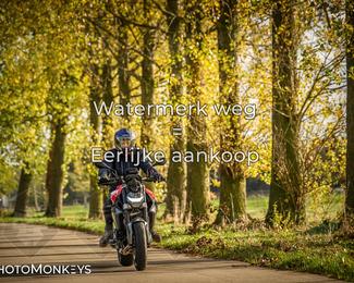 Herfstrit Moerzeke photo