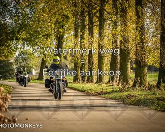 Herfstrit Moerzeke photo