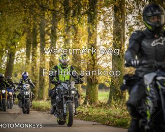 Herfstrit Moerzeke photo