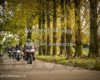 Herfstrit Moerzeke photo