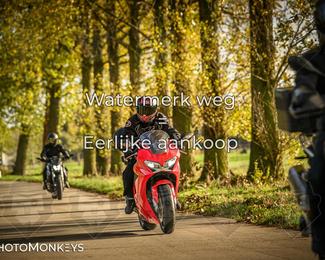 Herfstrit Moerzeke photo