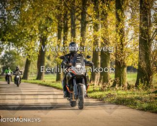 Herfstrit Moerzeke photo