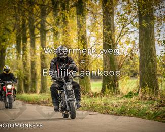 Herfstrit Moerzeke photo