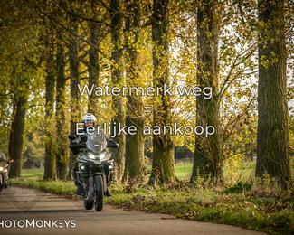 Herfstrit Moerzeke photo