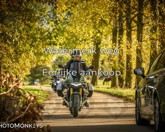 Herfstrit Moerzeke photo