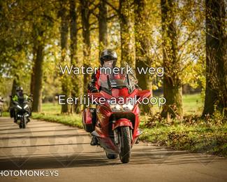 Herfstrit Moerzeke photo