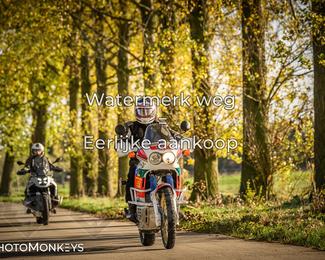 Balade d’automne Moerzeke photo