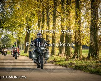 Herfstrit Moerzeke photo