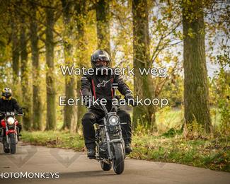 Herfstrit Moerzeke photo