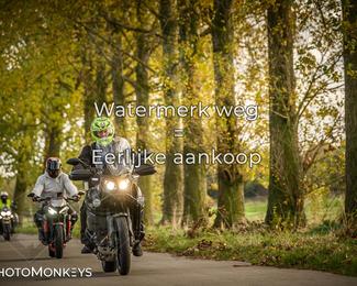 Herfstrit Moerzeke photo