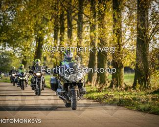 Herfstrit Moerzeke photo