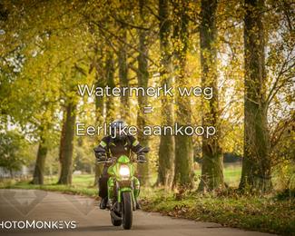 Herfstrit Moerzeke photo