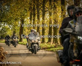 Herfstrit Moerzeke photo