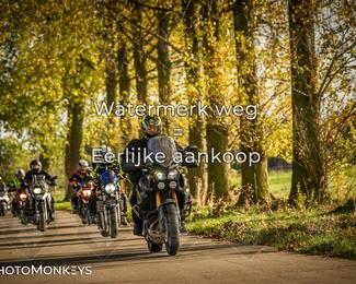 Herfstrit Moerzeke photo