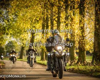 Herfstrit Moerzeke photo