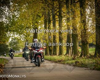 Herfstrit Moerzeke photo