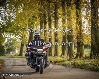 Herfstrit Moerzeke photo