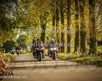 Herfstrit Moerzeke photo