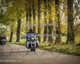 Herfstrit Moerzeke photo