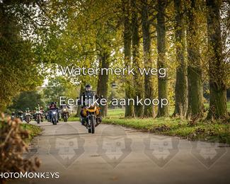 Herfstrit Moerzeke photo