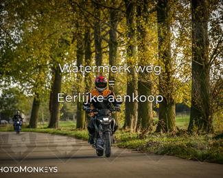 Herfstrit Moerzeke photo