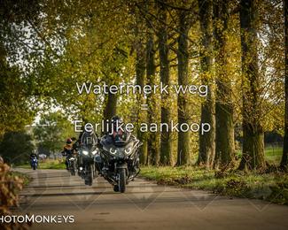 Herfstrit Moerzeke photo