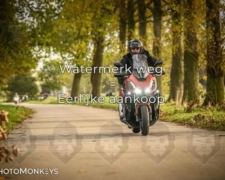 Herfstrit Moerzeke photo