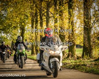 Herfstrit Moerzeke photo