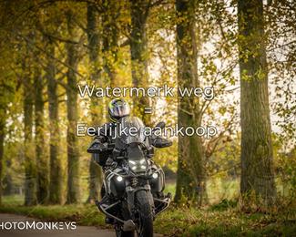 Herfstrit Moerzeke photo