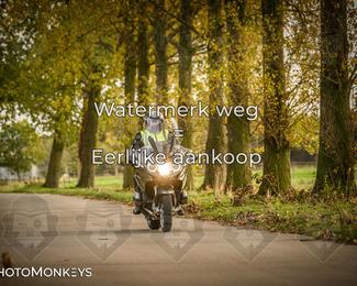 Herfstrit Moerzeke photo