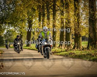 Herfstrit Moerzeke photo