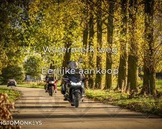 Herfstrit Moerzeke photo