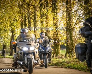 Herfstrit Moerzeke photo