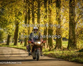 Herfstrit Moerzeke photo