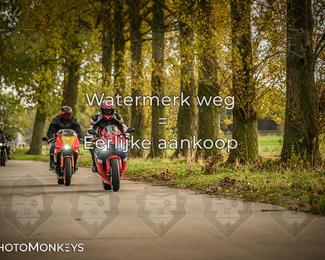 Herfstrit Moerzeke photo