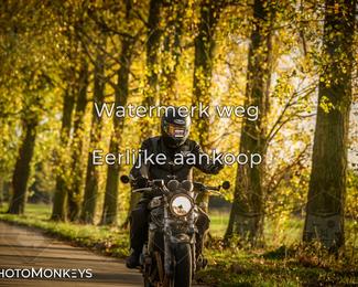 Herfstrit Moerzeke photo